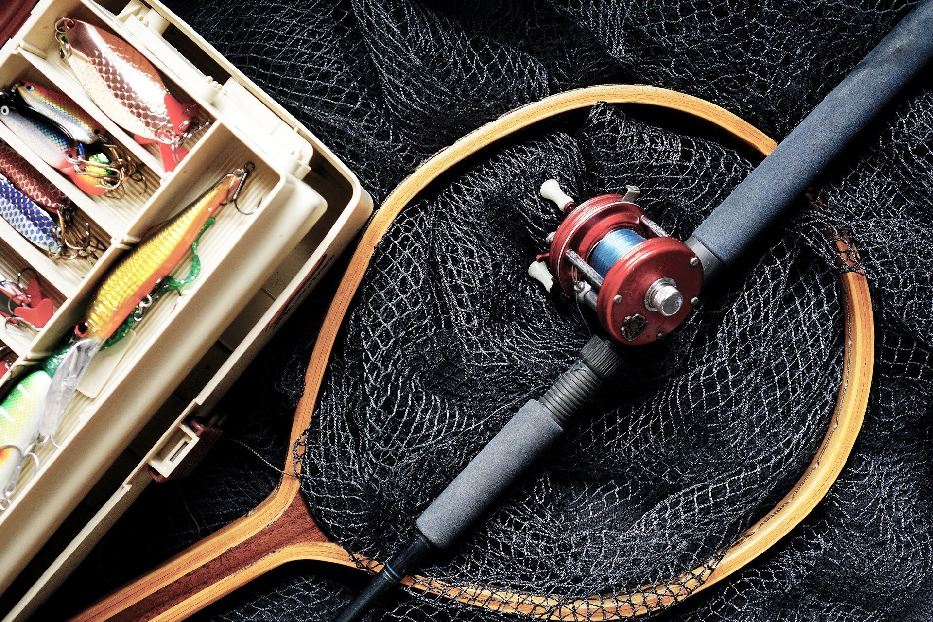 Read more about the article Do Fishing Lures Work?
