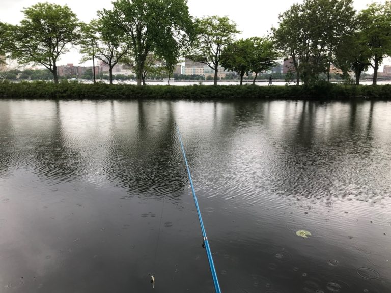 Read more about the article Fishing In The Rain