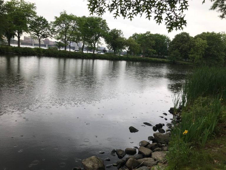 Read more about the article Shore Fishing