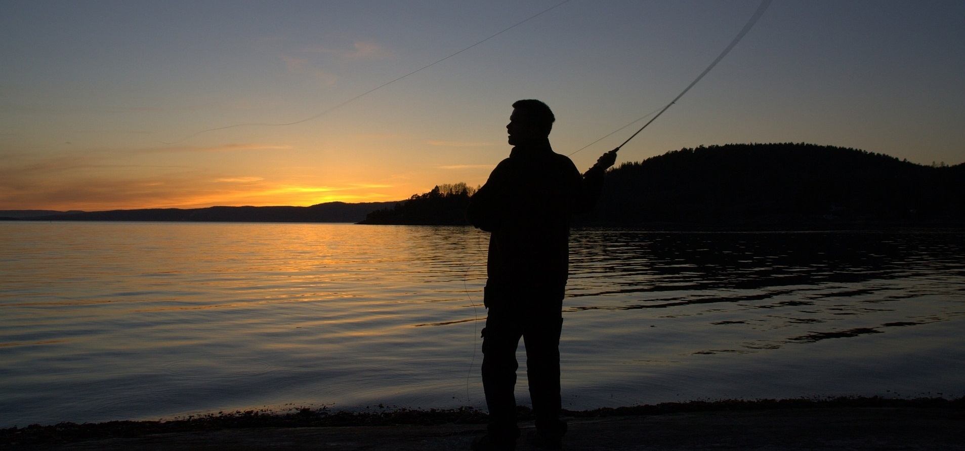Read more about the article How To Go Fishing