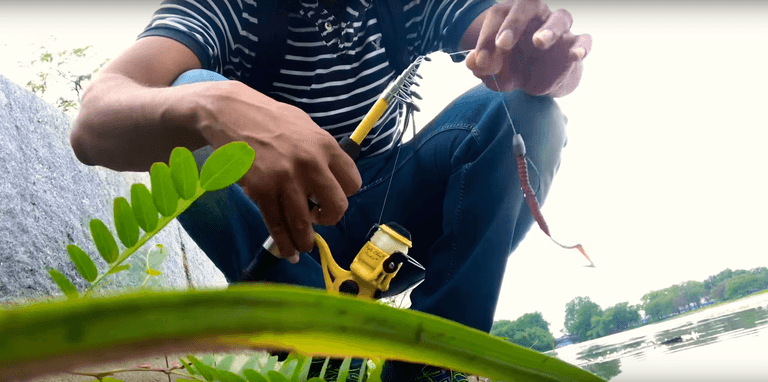 Read more about the article Berkley Power Worms