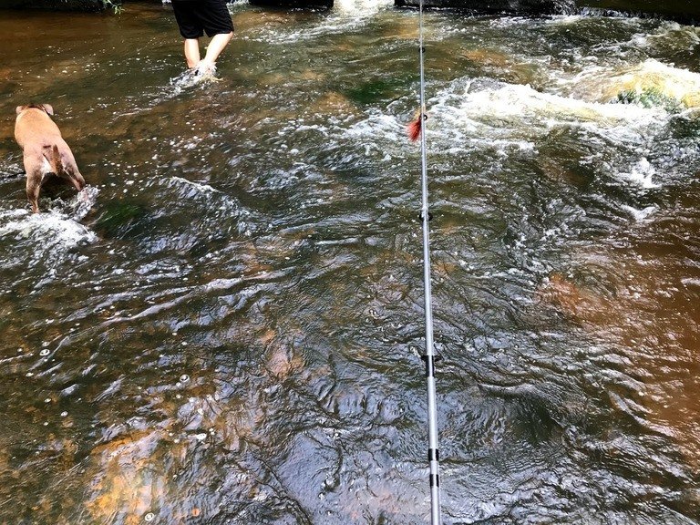 Read more about the article Fishing Vacations