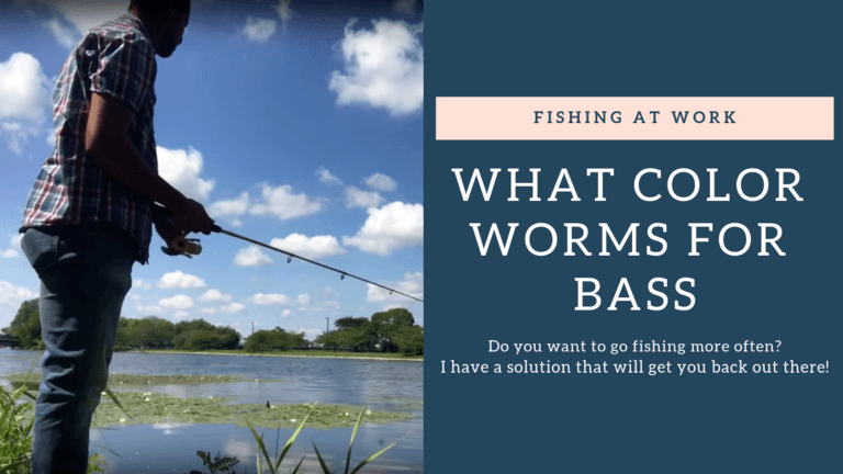 Read more about the article What Color Worms For Bass