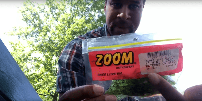 Read more about the article Zoom Lizards