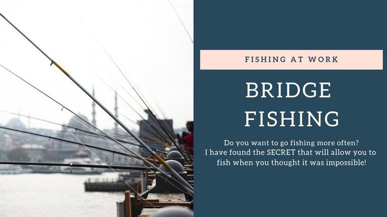 Read more about the article Bridge Fishing On The Charles River