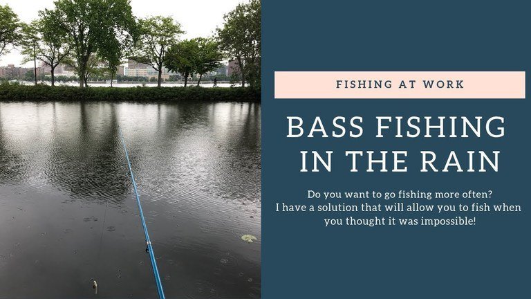 Read more about the article Bass Fishing In The Rain Is Possible With Preparation