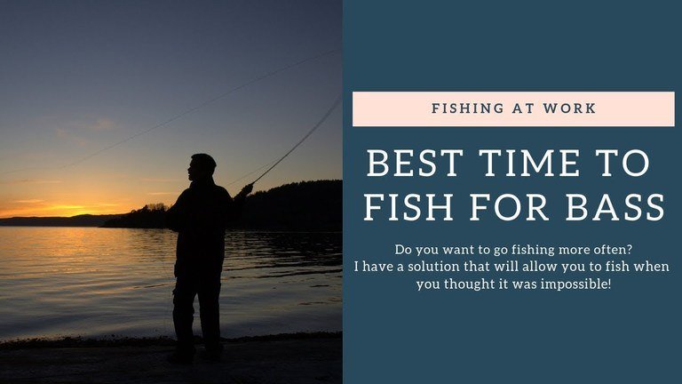 Read more about the article Best Time To Fish For Bass