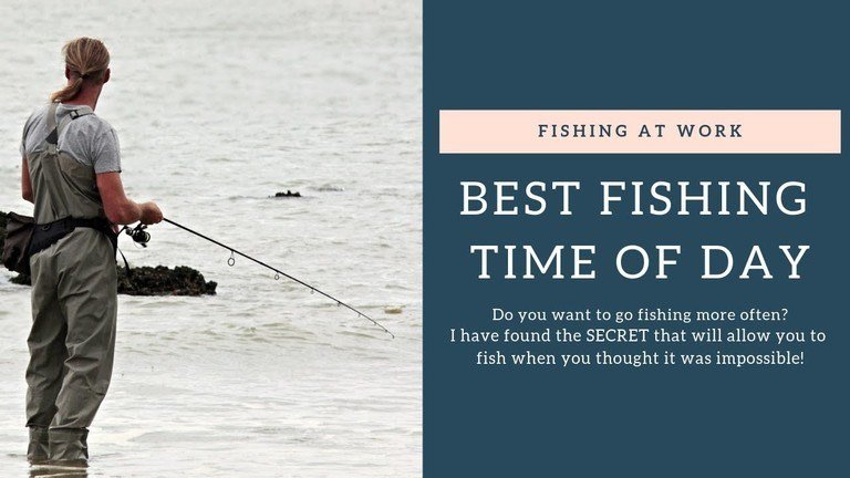 Read more about the article Best Fishing Time Of Day