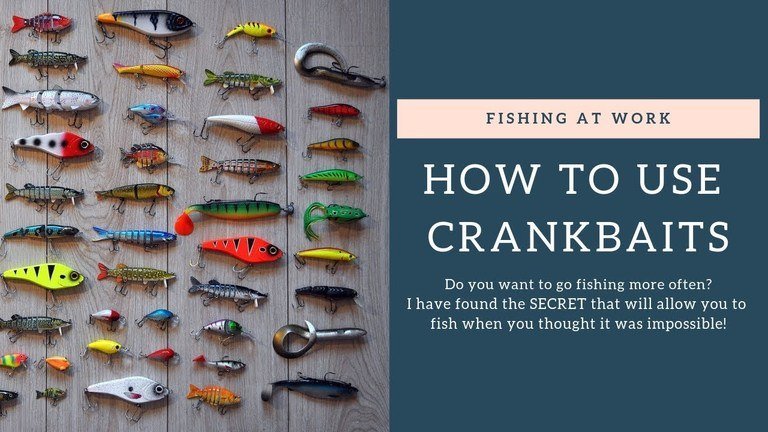 Read more about the article How to Use Crankbaits