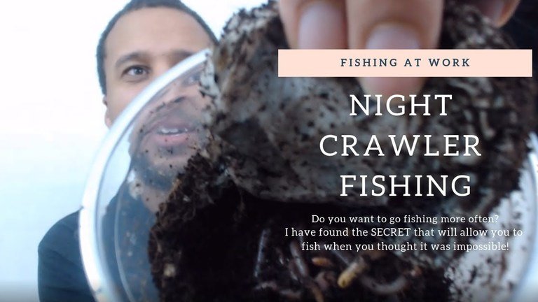 Read more about the article Nightcrawler Fishing