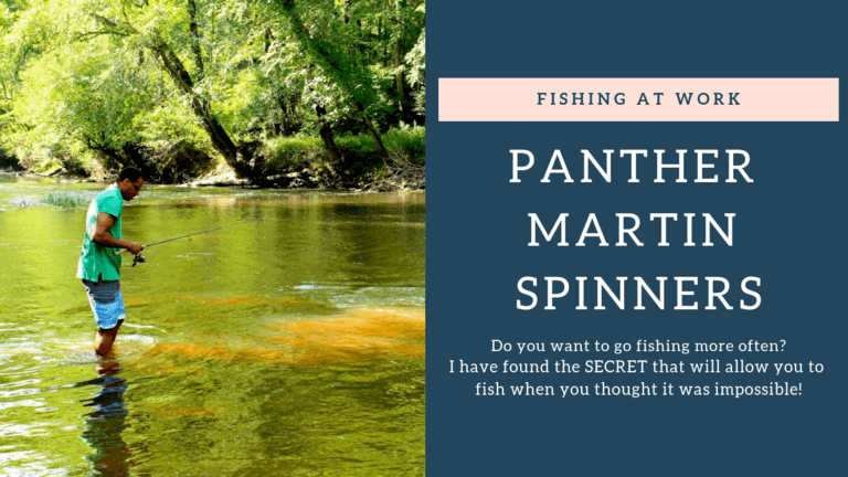 Read more about the article Panther Martin Spinners for Bass