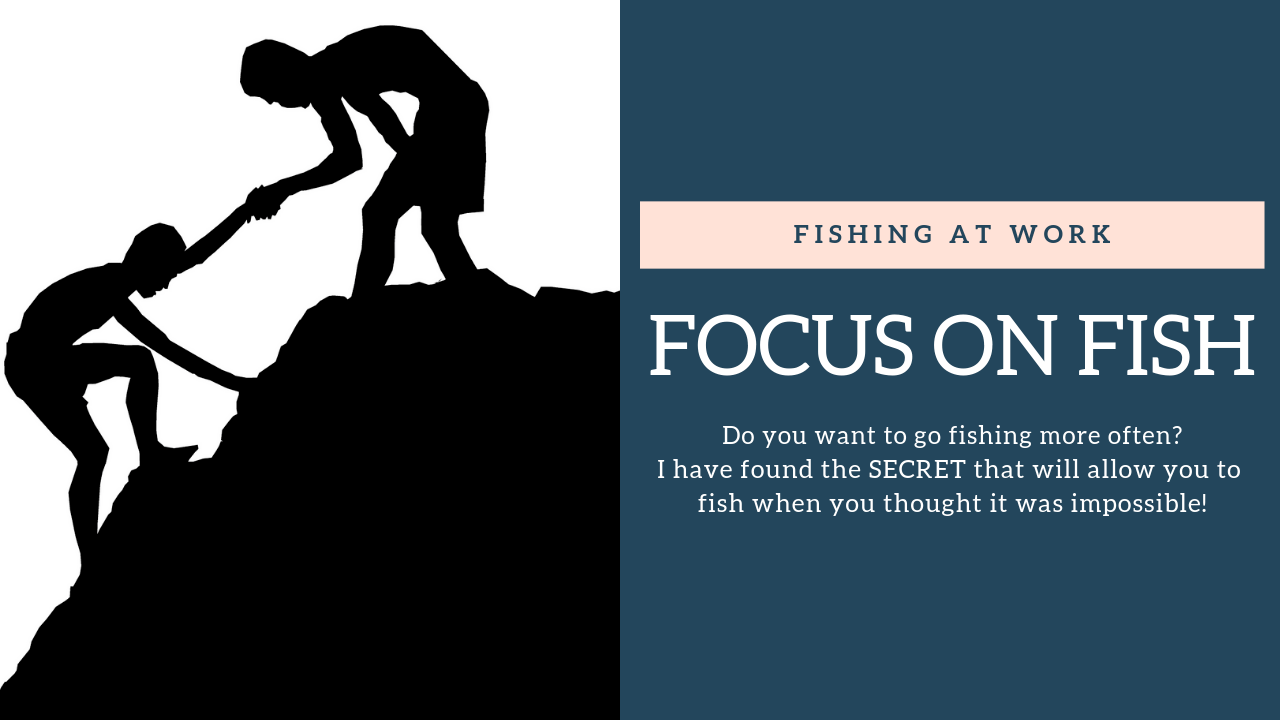 Focus On Fish
