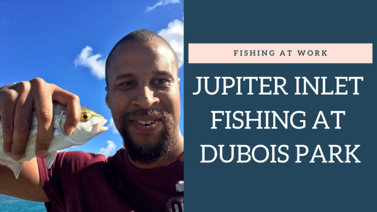 Read more about the article Jupiter Inlet Fishing at Dubois Park in Jupiter, Florida