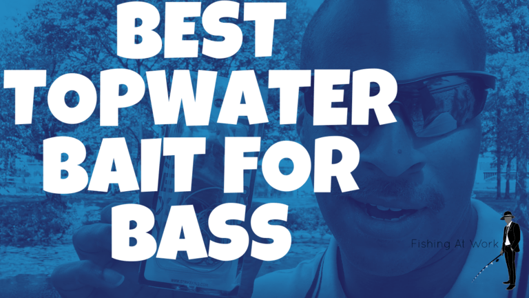 Read more about the article Best Topwater Bait For Bass