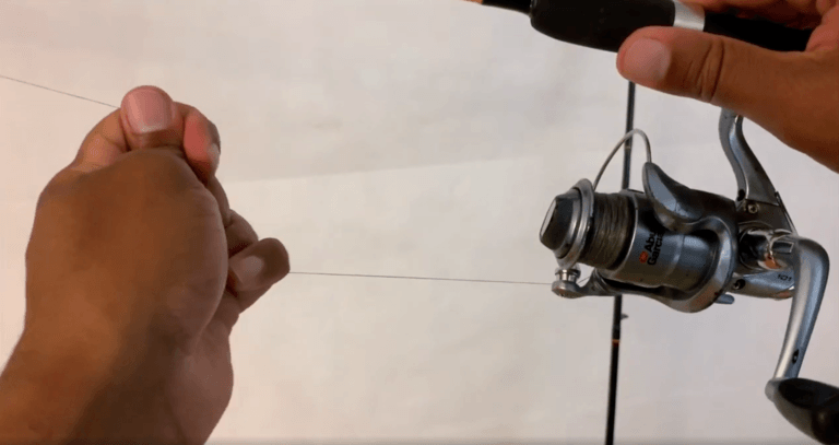 Read more about the article What Is Drag In Fishing?