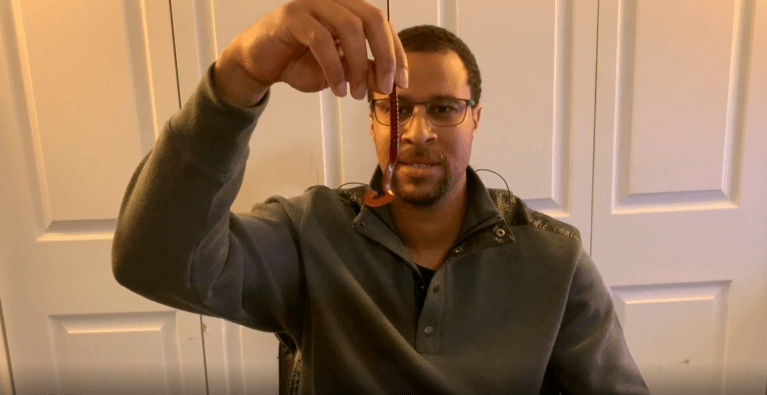 Read more about the article Best Plastic Worms For Bass Fishing