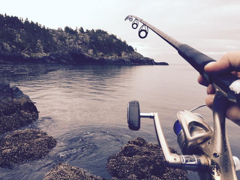 Read more about the article Best Monofilament Line For Spinning Reels