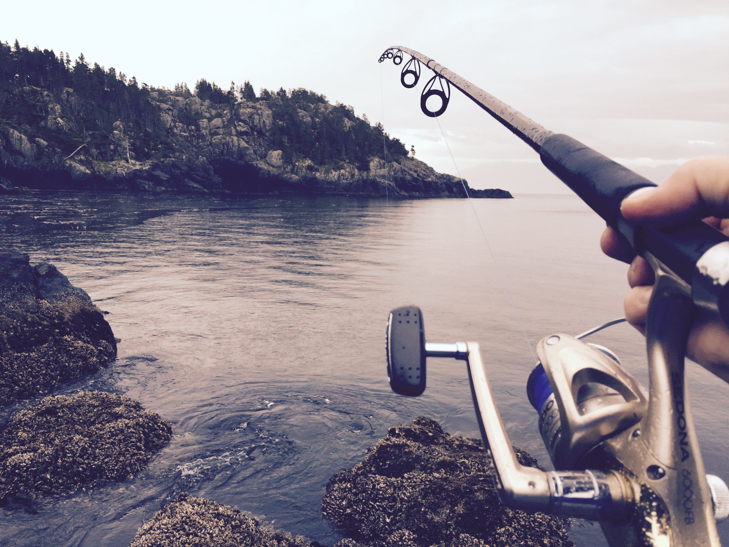 inshore fishing rod and reel for saltwater