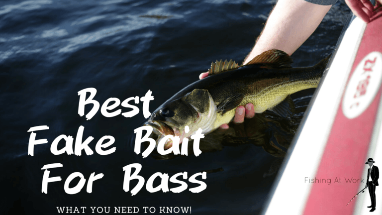 Read more about the article Best Fake Bait For Bass