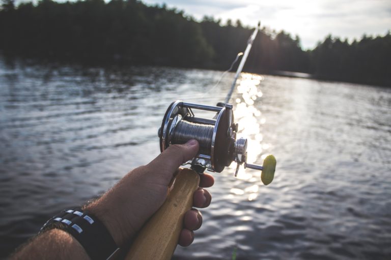 Read more about the article Best Anti Backlash Baitcast Reel