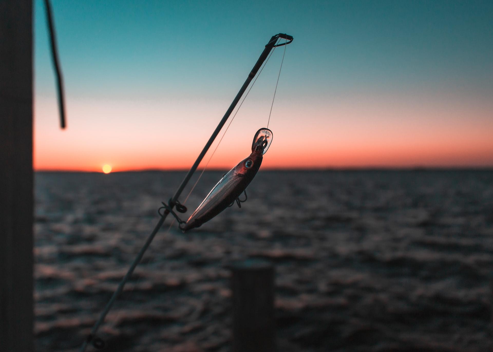 Read more about the article Best Jerkbait