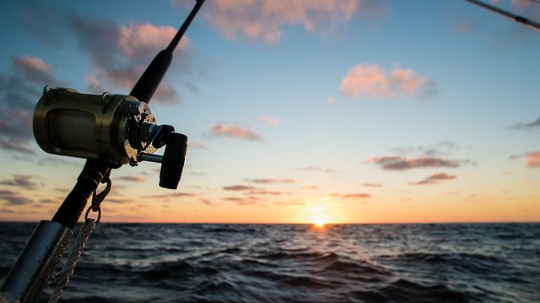 Read more about the article Best Conventional Reel For Bottom Fishing