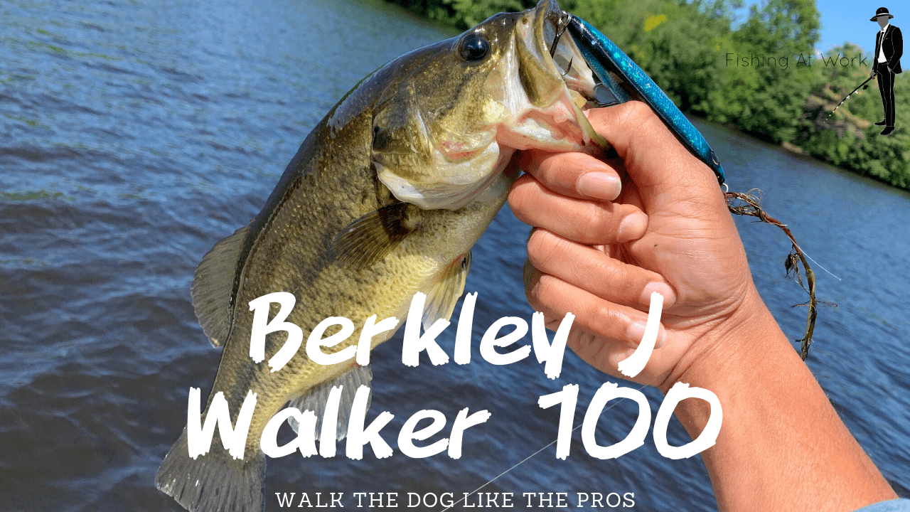 Read more about the article Berkley J Walker 100 Lure Review