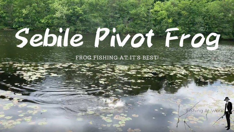 Read more about the article Sebile Pivot Frog Fishing Lure Review