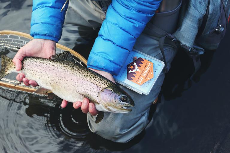 Read more about the article Best Fishing Line For Trout