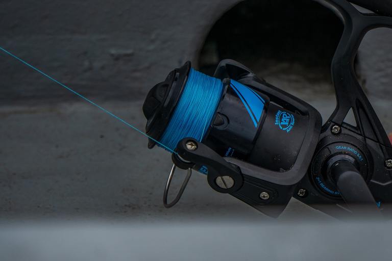 Read more about the article Trout Fishing Line