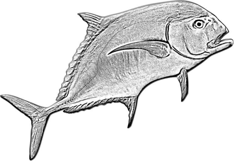 Read more about the article How To Catch Pompano