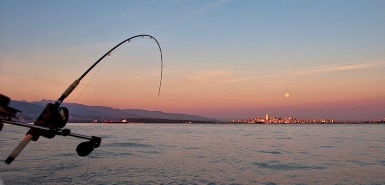 Read more about the article Best Saltwater Trolling Motor: Top Picks and Expert Advice