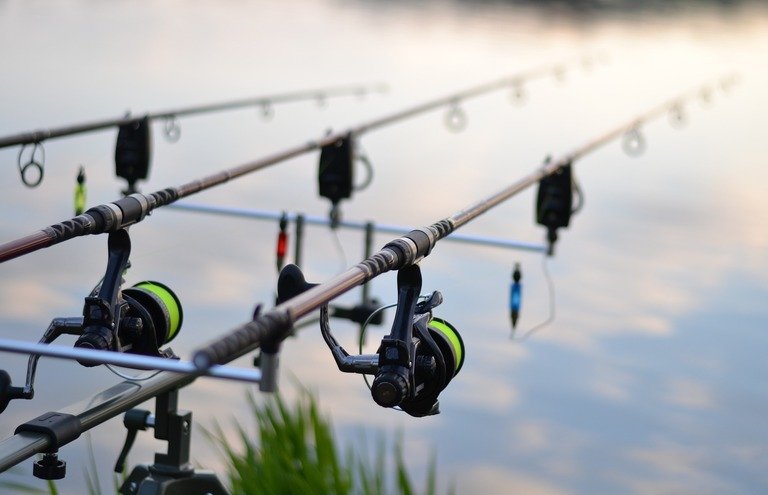 Read more about the article Best Carp Fishing Rods