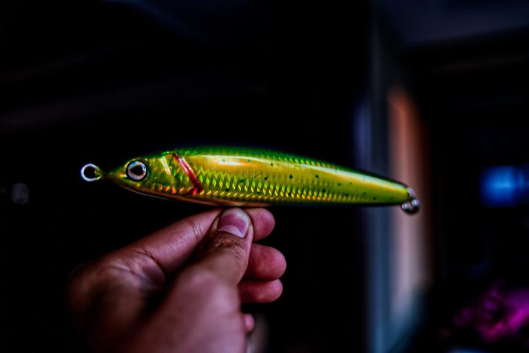 Read more about the article Stickbaits