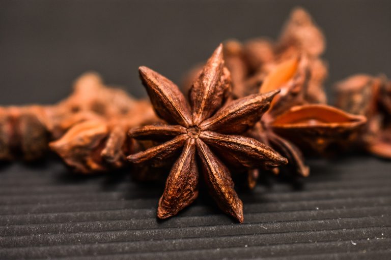 Read more about the article Anise Oil Fishing Guide