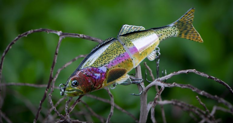Read more about the article Custom Swimbaits