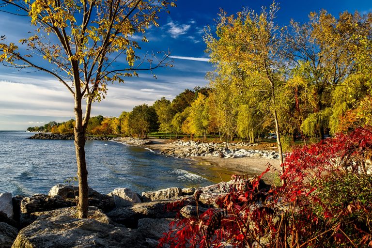 Read more about the article Bass Fishing Ontario