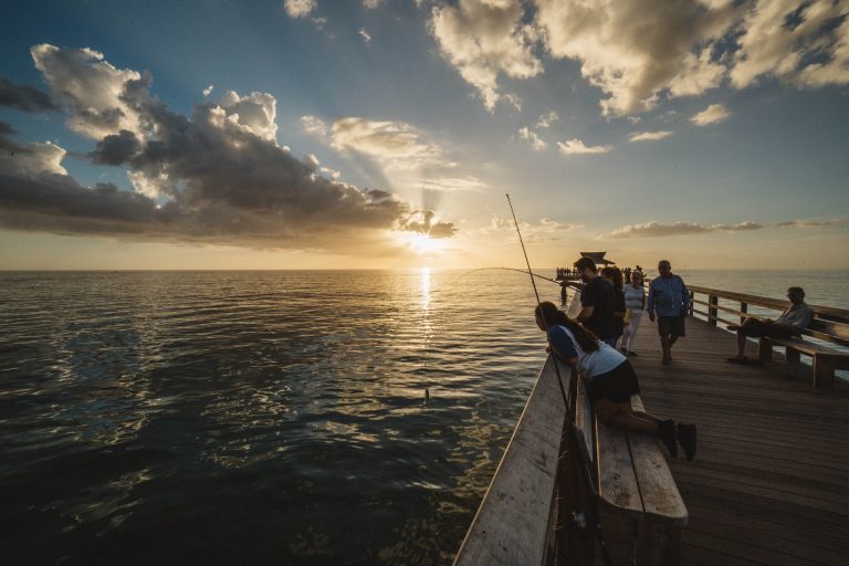 Read more about the article Black Sea Bass In Boston