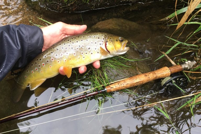 Read more about the article Brown Trout Lures